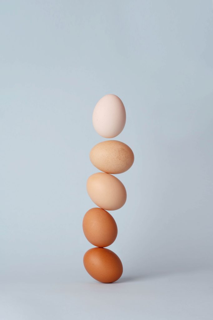 Eggs, used to make egg protein powder 